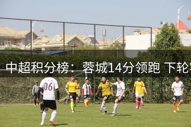 中超积分榜：蓉城14分领跑 下轮客场取胜将提前夺冠