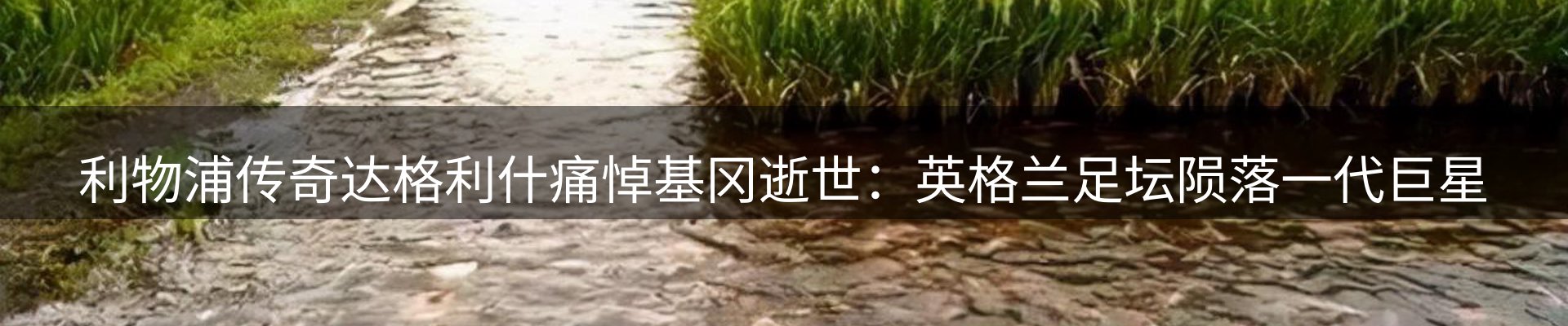 新闻资讯