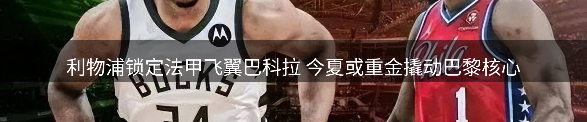 新闻资讯