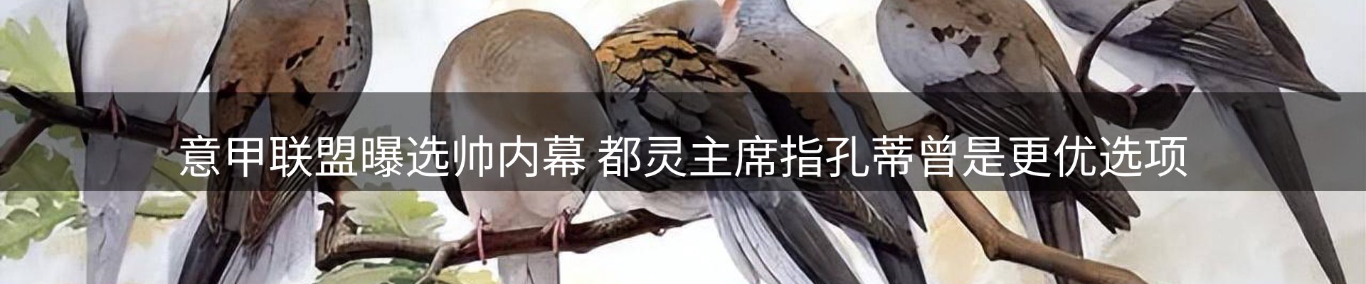 新闻资讯