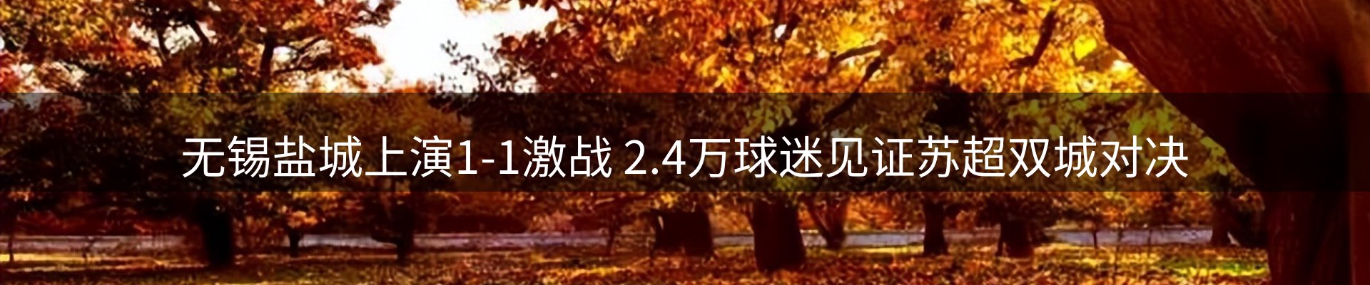 动态焦点