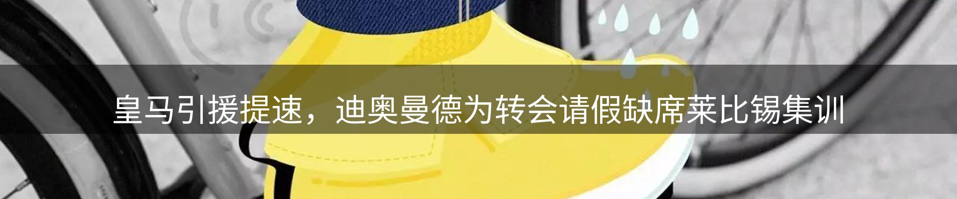 新闻资讯