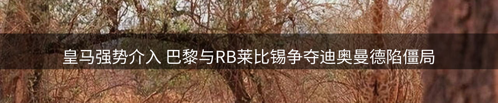 新闻资讯