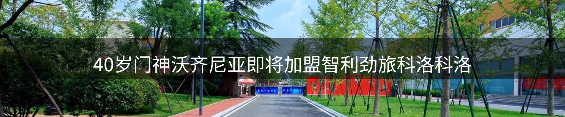 新闻资讯